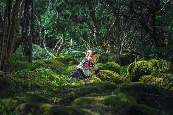 Full-Day Private Golden Circle Photography Tour in Iceland - Booking and Pricing