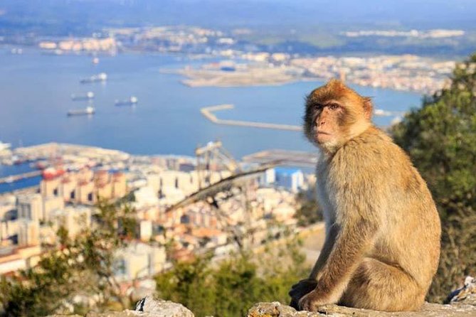 Full-Day Private Guided Historic Tour of Gibraltar From Cadiz - Exploring the Battle Siege Tunnels