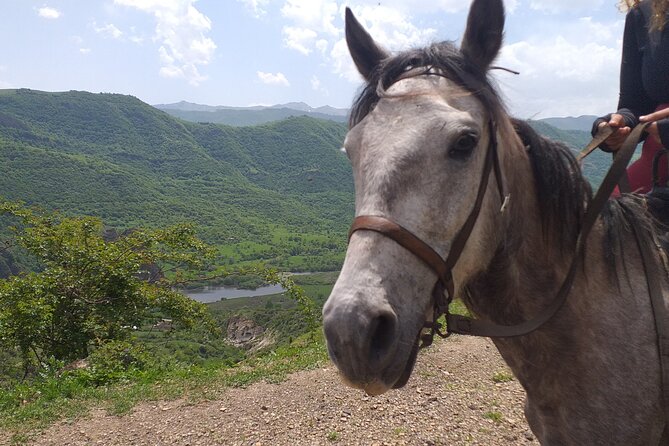 Full-Day Private Guided Horseback Ride Through Dzoraget Canyon - Guest Reviews