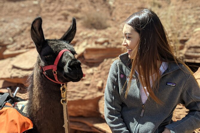 Full-Day Private Guided Llama Hikes - Key Points