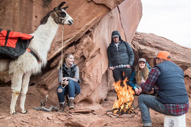 Full-Day Private Guided Llama Hikes - Participant Guidelines and Considerations