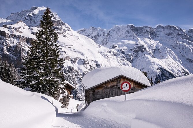 Full Day Private Guided Scenic Train Tour to the Swiss Alps - Meeting and Pickup