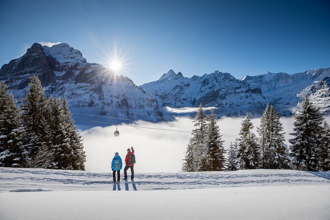 Full Day Private Guided Scenic Train Tour to the Swiss Alps - Schedule and Availability