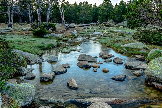 Full Day Private Guided Tour in Cerdanya - Booking Information