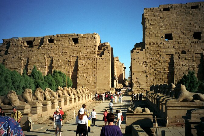 Full Day Private Guided Tour in East and West Bank Luxor - Booking Information