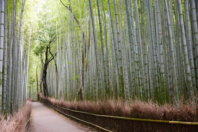 Full-Day Private Guided Tour in Kyoto Review - Highlights of the Tour