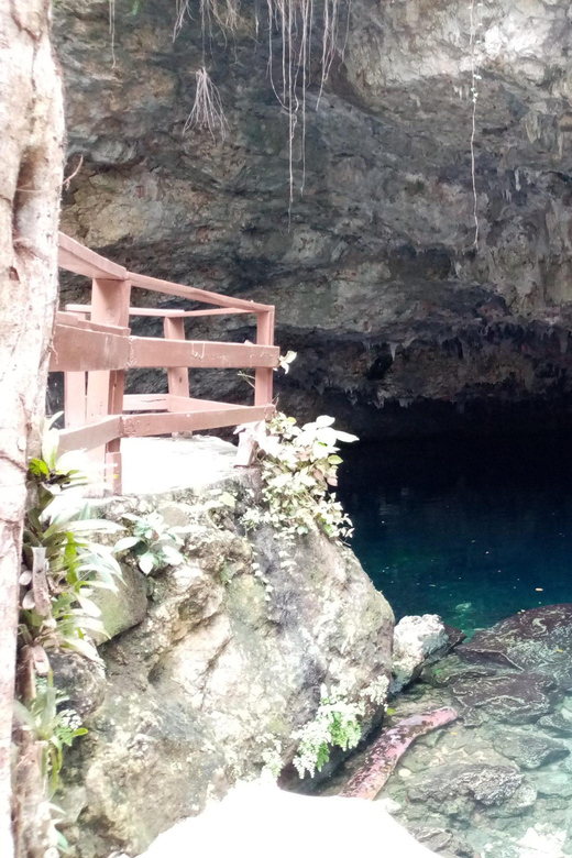 Full Day Private Guided Tour in Lagoon Dudu From Sto. Dgo. - Tour Overview and Pricing