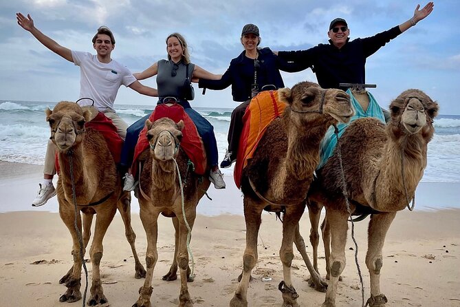 Full-Day Private Guided Tour in Tangier - Pickup and Drop-off Details