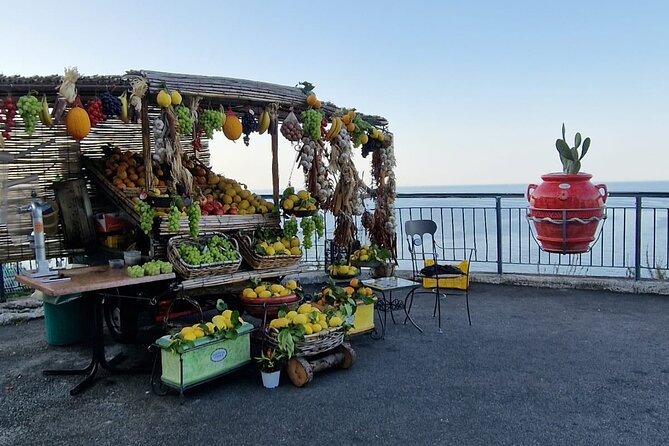 Full-day Private Guided Tour in the Amalfi Coast - Accessibility and Requirements