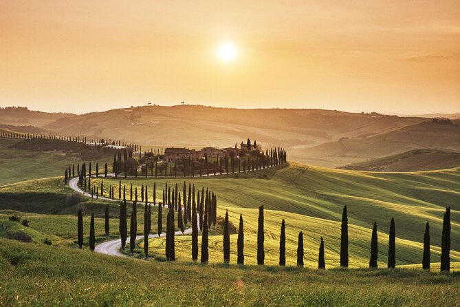 Full Day PRIVATE Guided Tour in Val DOrcia Region - Age Restrictions