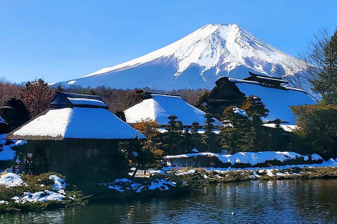 Full Day Private Guided Tour Mt. Fuji and Hakone - Inclusions