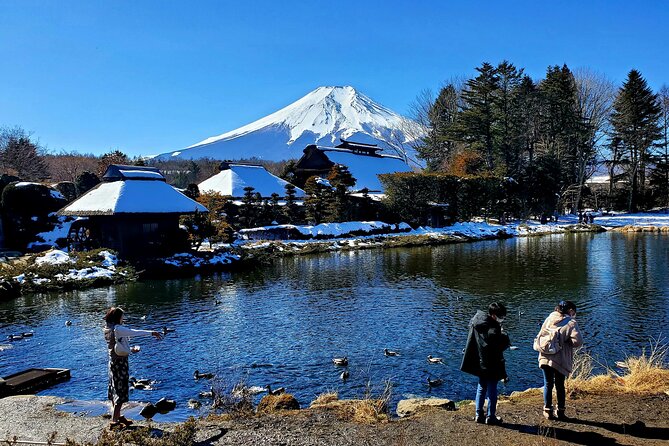 Full Day Private Guided Tour Mt. Fuji and Hakone - Extra Fees