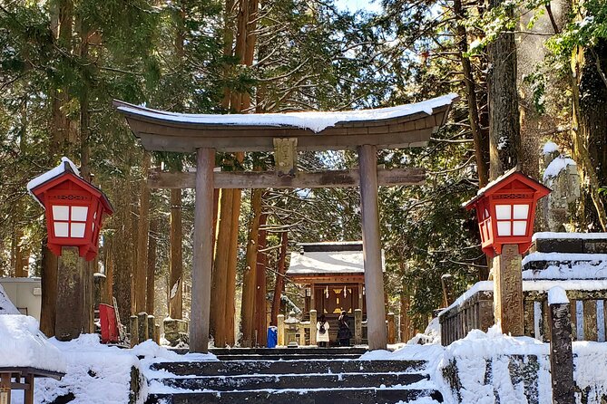 Full Day Private Guided Tour Mt. Fuji and Hakone - Mt. Fuji Highlights