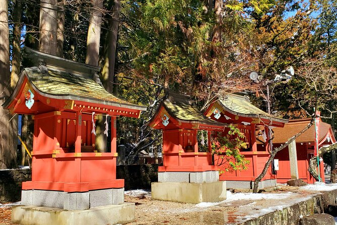 Full Day Private Guided Tour Mt. Fuji and Hakone - Hakone Highlights