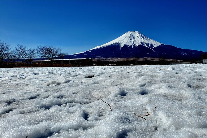 Full Day Private Guided Tour Mt. Fuji and Hakone - Booking and Cancellation