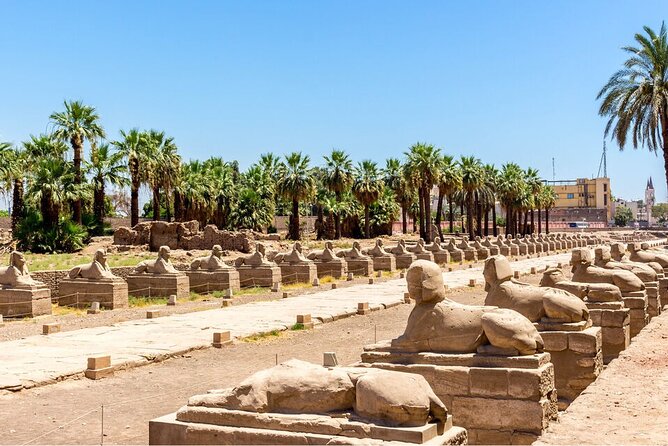 Full-day Private Guided Tour of East and West Bank in Luxor - Additional Information
