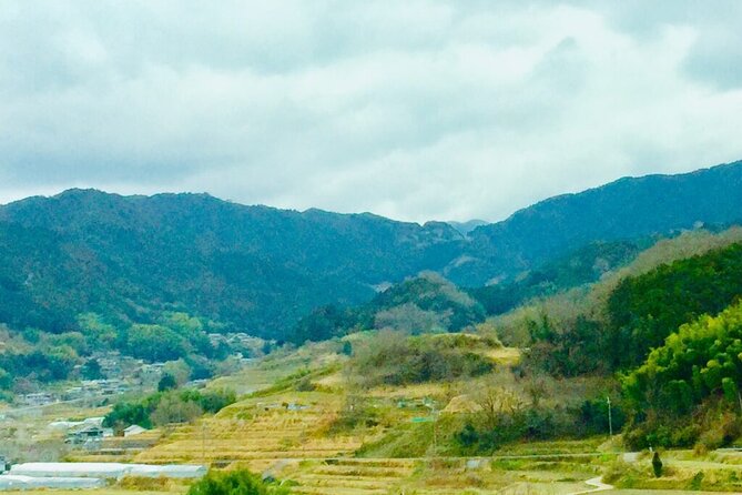 Full-Day Private Guided Tour to Asuka, Ancient Capital of Japan - Good To Know