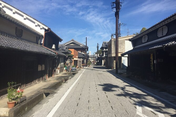 Full-Day Private Guided Tour to Asuka, Ancient Capital of Japan - Accessibility Information