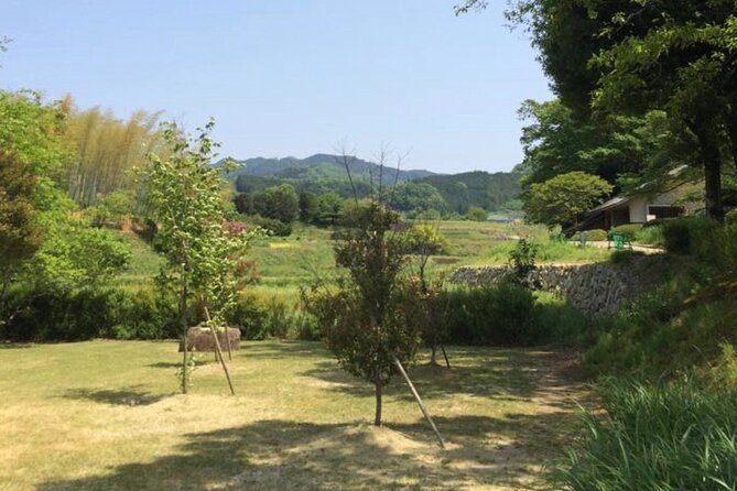 Full-Day Private Guided Tour to Asuka, Ancient Capital of Japan - Traveler Requirements