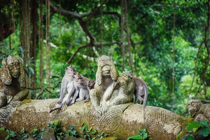 Full Day Private Guided Tour to Bali - Accessibility and Participation