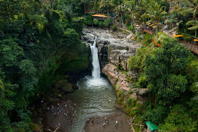Full Day Private Guided Tour to Bali - Booking and Pricing
