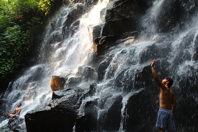 Full-Day Private Guided Tour to Bali Waterfalls - Participation Guidelines
