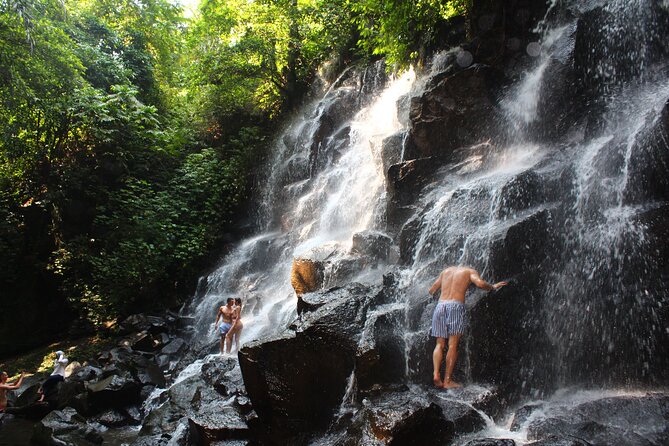 Full-Day Private Guided Tour to Bali Waterfalls - Guest Reviews