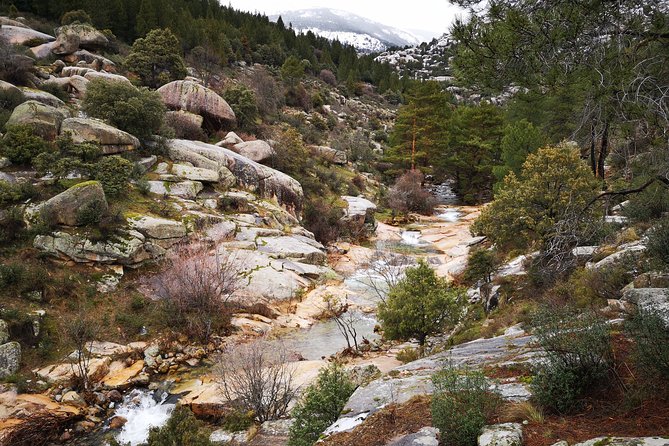 Full-Day Private Guided Tour to Guadarrama National Park - Meeting and Pickup Details