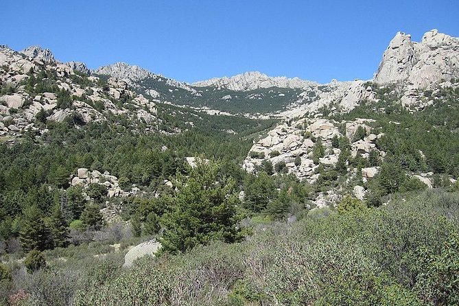 Full-Day Private Guided Tour to Guadarrama National Park - Accessibility and Requirements