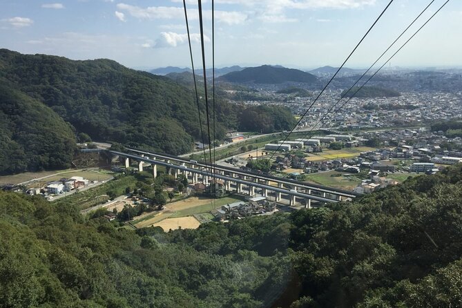 Full-Day Private Guided Tour to Himeji Castle - Meeting and Pickup