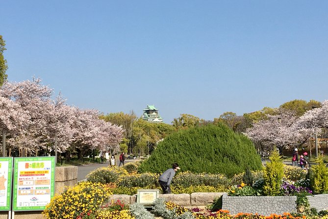 Full-Day Private Guided Tour to Historical Osaka - Inclusions and Exclusions