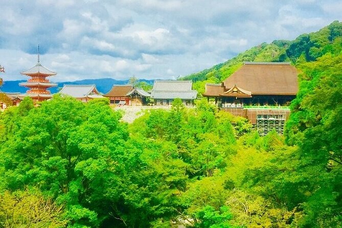 Full-Day Private Guided Tour to Kyoto City - Accessibility and Requirements