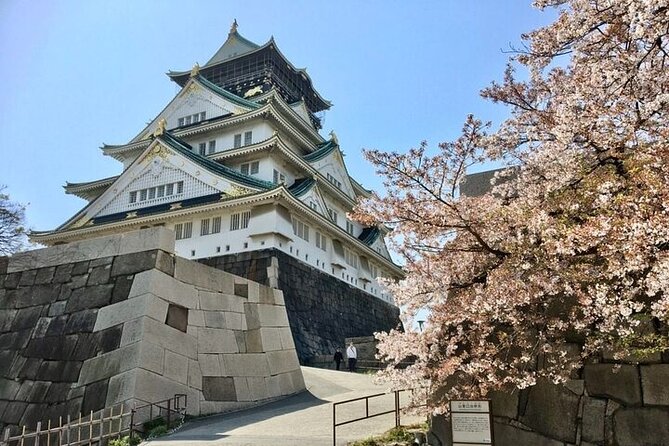 Full-Day Private Guided Tour to Osaka Castle - Review and Testimonials