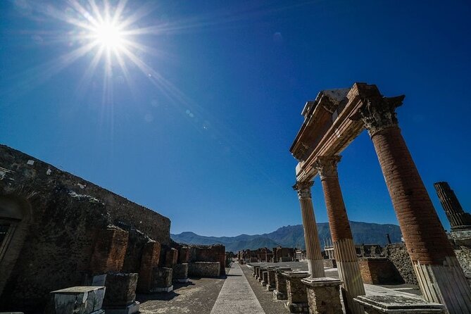 Full-Day Private Guided Tour to Positano and Sorrento and Pompeii From Naples - Traveler Feedback and Reviews