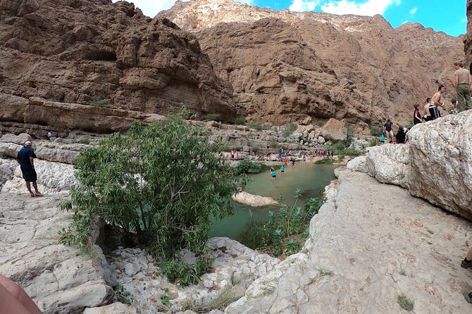 Full-day Private Guided Wadi Shab Tour in Oman - Participant Reviews