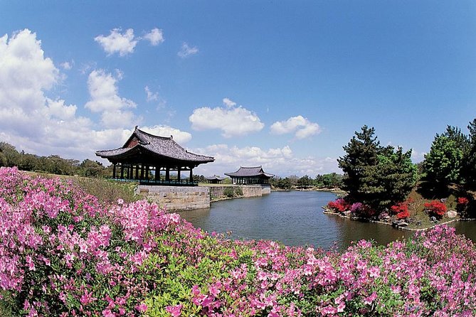 Full Day Private Gyeongju UNESCO Heritage Tour : a Glimpse Into Silla - Customer Experiences