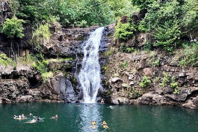 Full Day Private Hawaiian Culture Tour With Guide - Accessibility and Participation