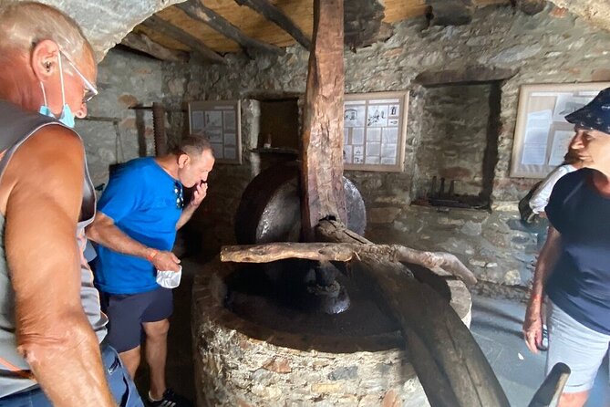 Full-Day Private Highlights Tour in Naxos Island - Dining and Cultural Experiences