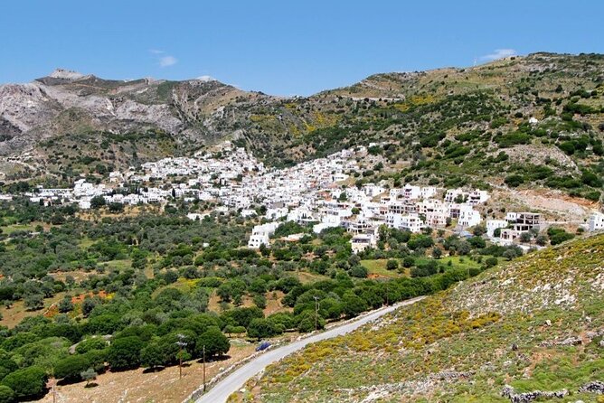 Full-Day Private Highlights Tour in Naxos Island - Cost-Effectiveness and Flexibility