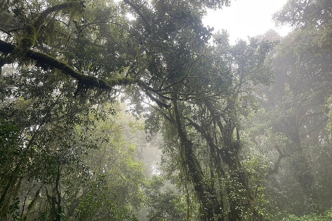 Full Day Private Hiking Tour to Kilimanjaro Mountain - Booking and Reservation Process
