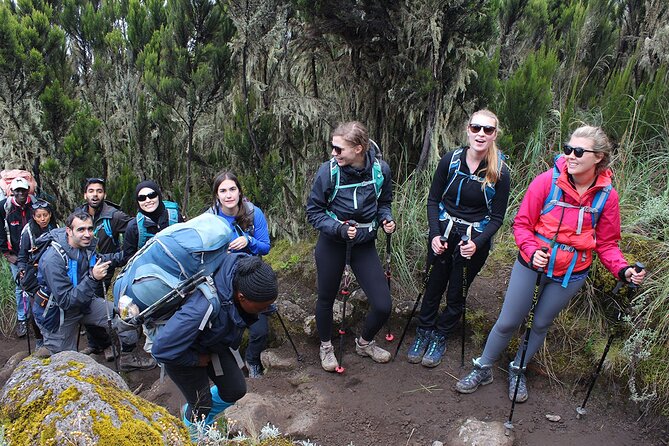 Full Day Private Hiking Tour to Kilimanjaro Mountain - Preparing for the Hike