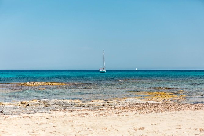 Full-Day Private Ibiza and Formentera Charter Cruise - Customer Feedback and Ratings