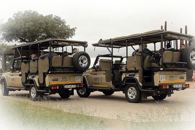 Full Day Private Kruger Park Safari - Spotting the Abundant Wildlife