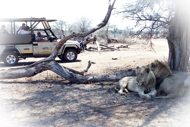 Full Day Private Kruger Park Safari - Guided Safari Experience