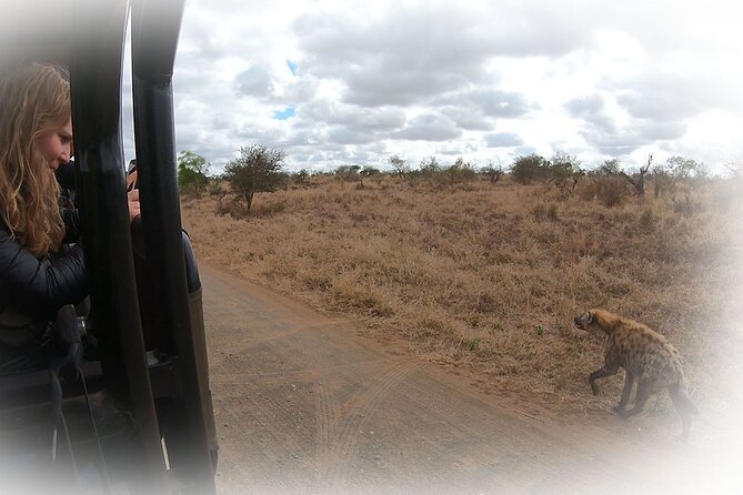 Full Day Private Kruger Park Safari - Pickup and Start Time