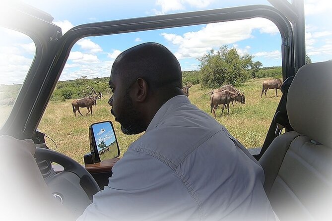 Full Day Private Kruger Park Safari - Additional Important Details