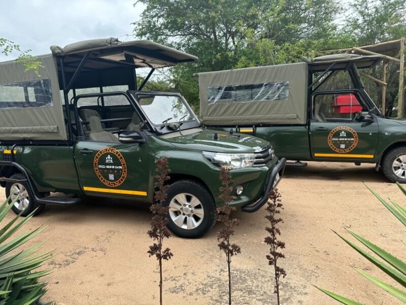 Full Day Private Kruger Safari From Hazyview - Safari Itinerary and Highlights