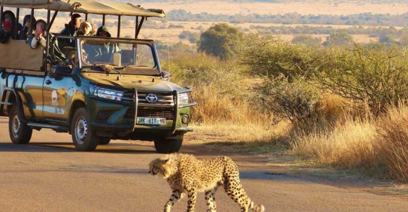 Full Day Private Kruger Safari From Hoedspruit - Whats Included