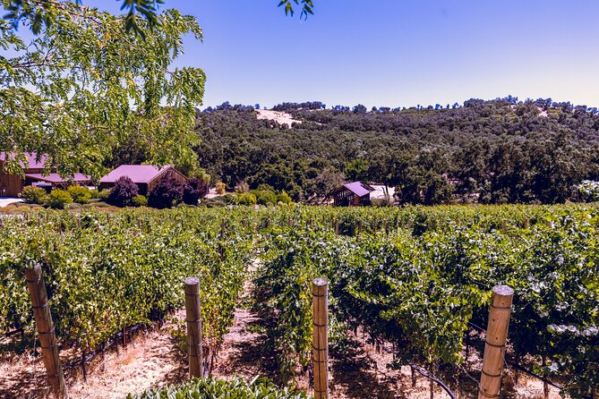 Full-Day Private Luxury Transportation From Paso Robles - Pickup and Drop-off Details