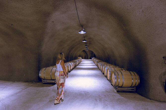 Full-Day Private Luxury Transportation From Paso Robles - Inclusions and Amenities
